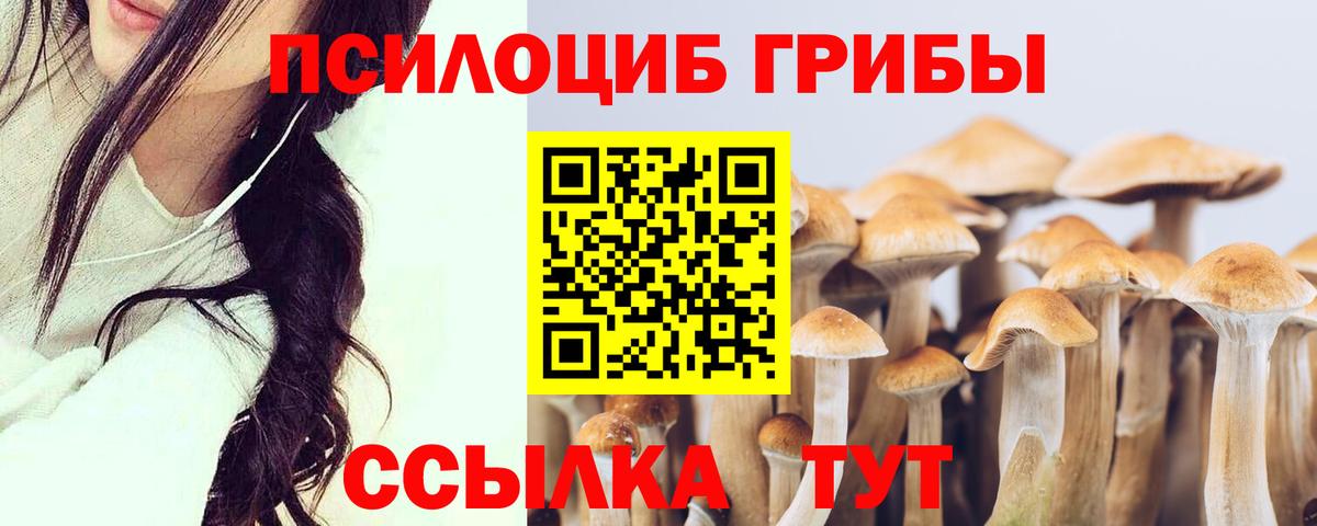 Псилоцибиновые грибы GOLDEN TEACHER  Вход с VPN  Галлюциногенные грибы ЛСД  Рузаевка 
