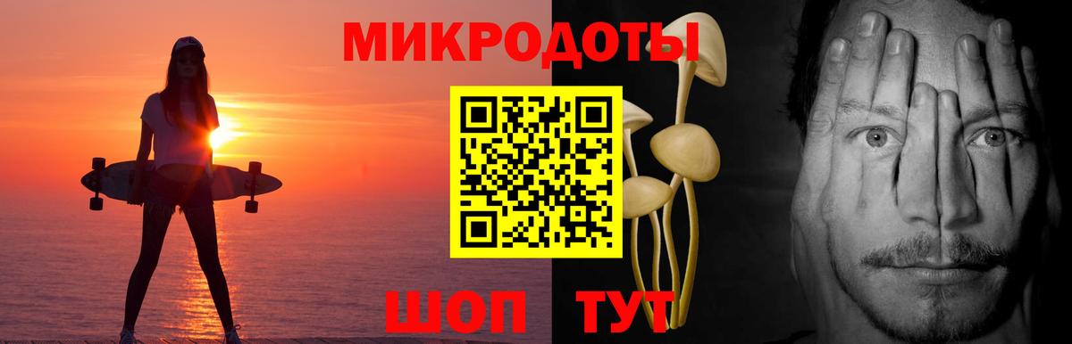 Псилоцибиновые грибы Psilocybine cubensis Рузаевка